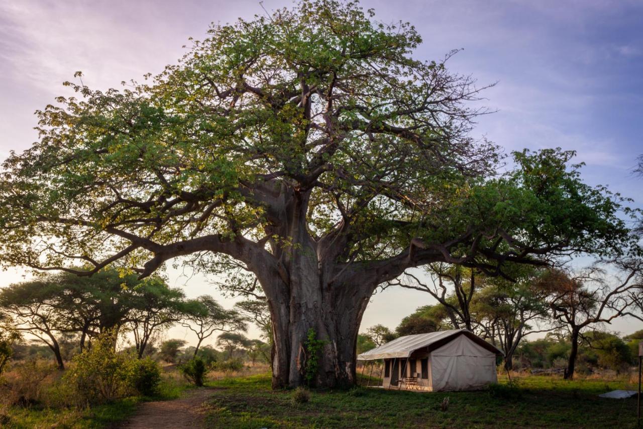 Baobab Tented Camp Kwa Kuchinia 외부 사진