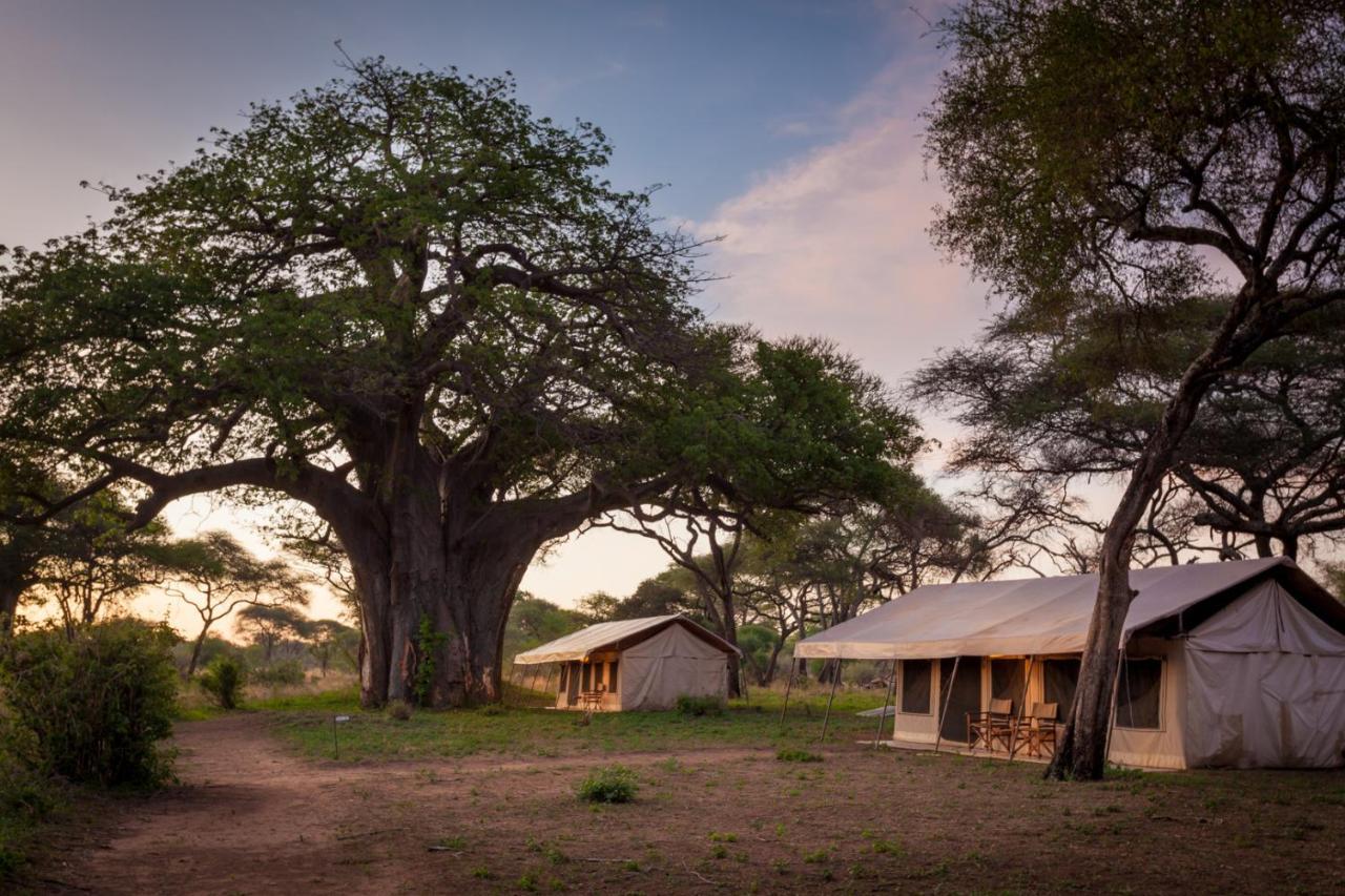 Baobab Tented Camp Kwa Kuchinia 외부 사진