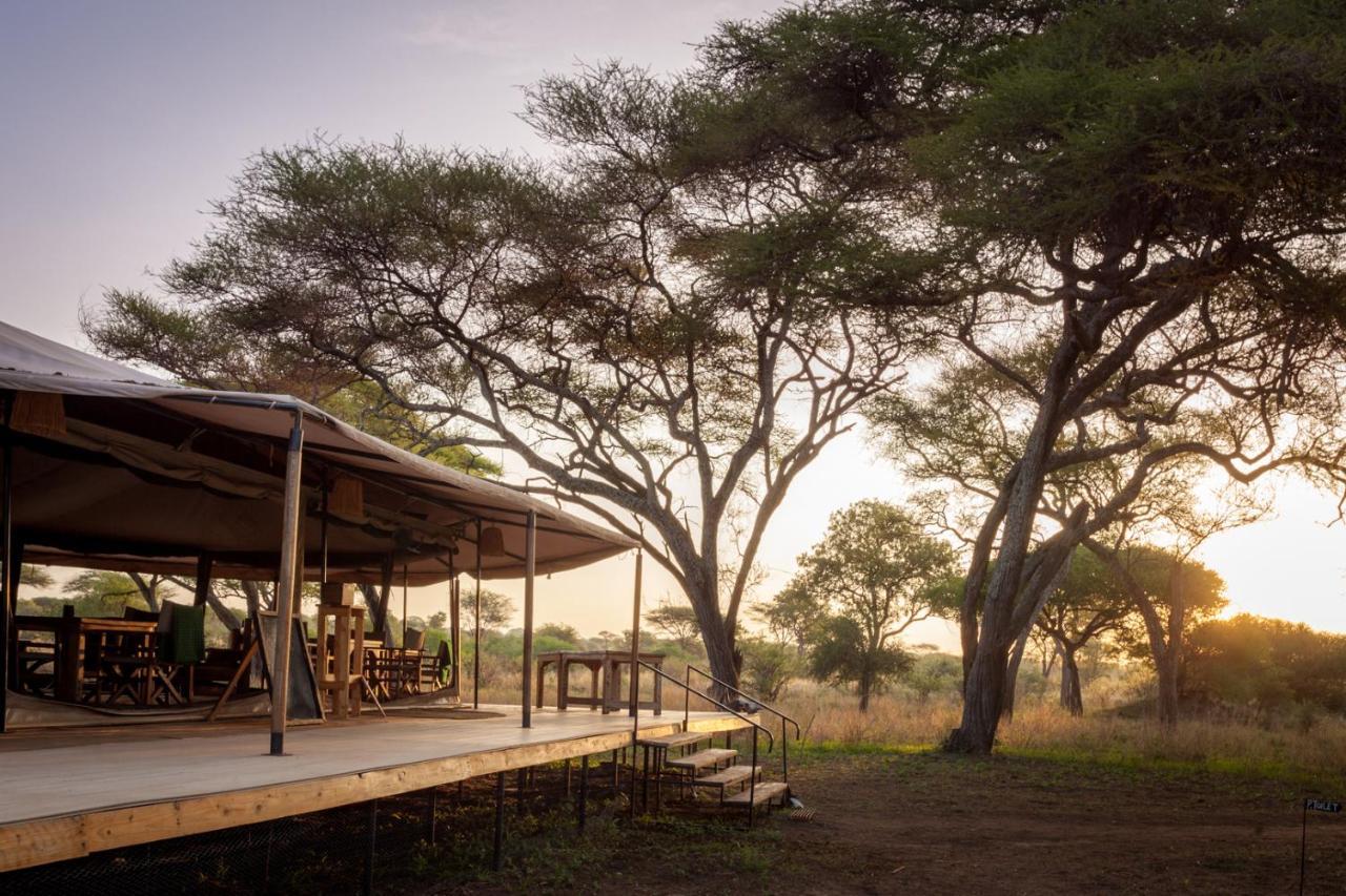 Baobab Tented Camp Kwa Kuchinia 외부 사진