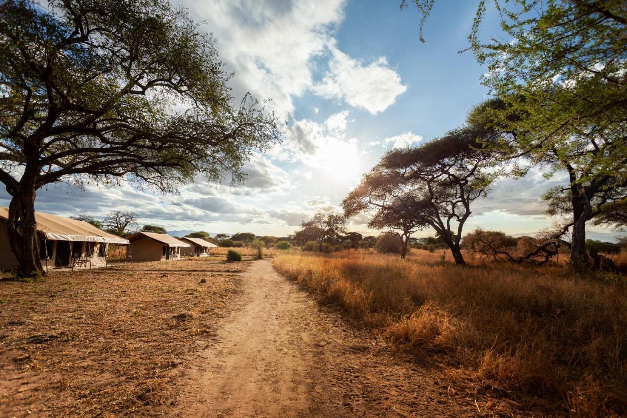 Baobab Tented Camp Kwa Kuchinia 외부 사진