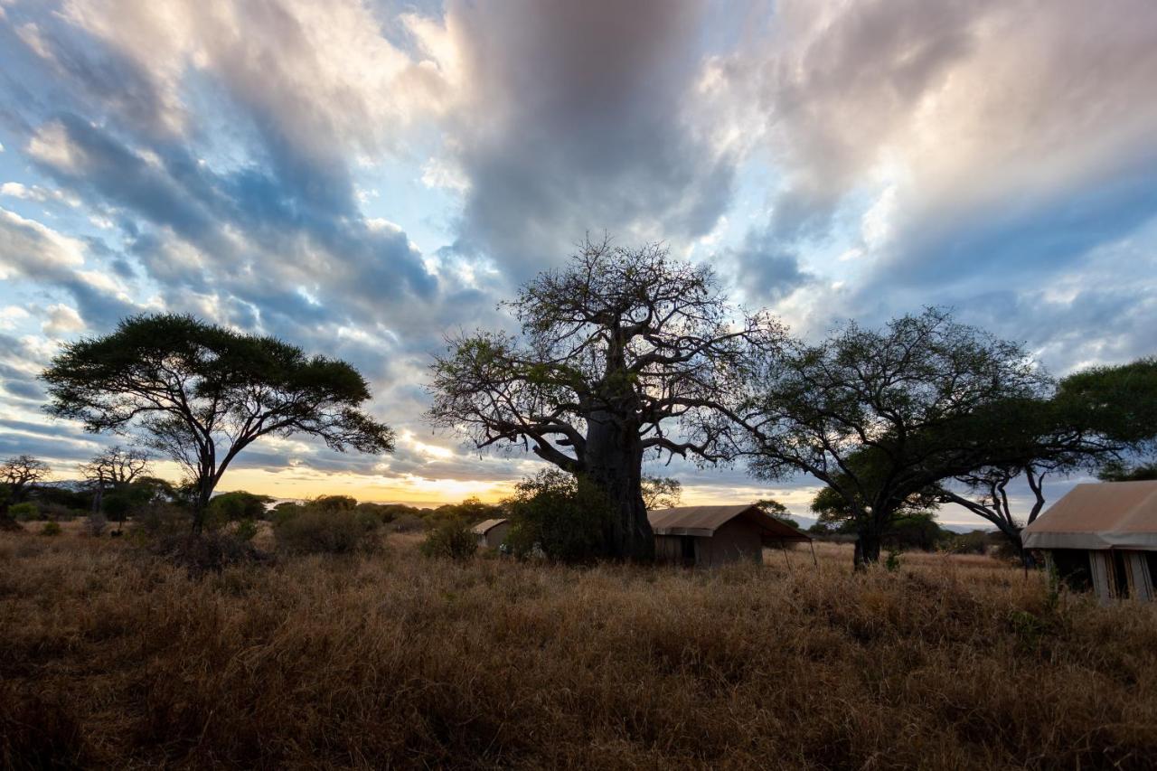 Baobab Tented Camp Kwa Kuchinia 외부 사진